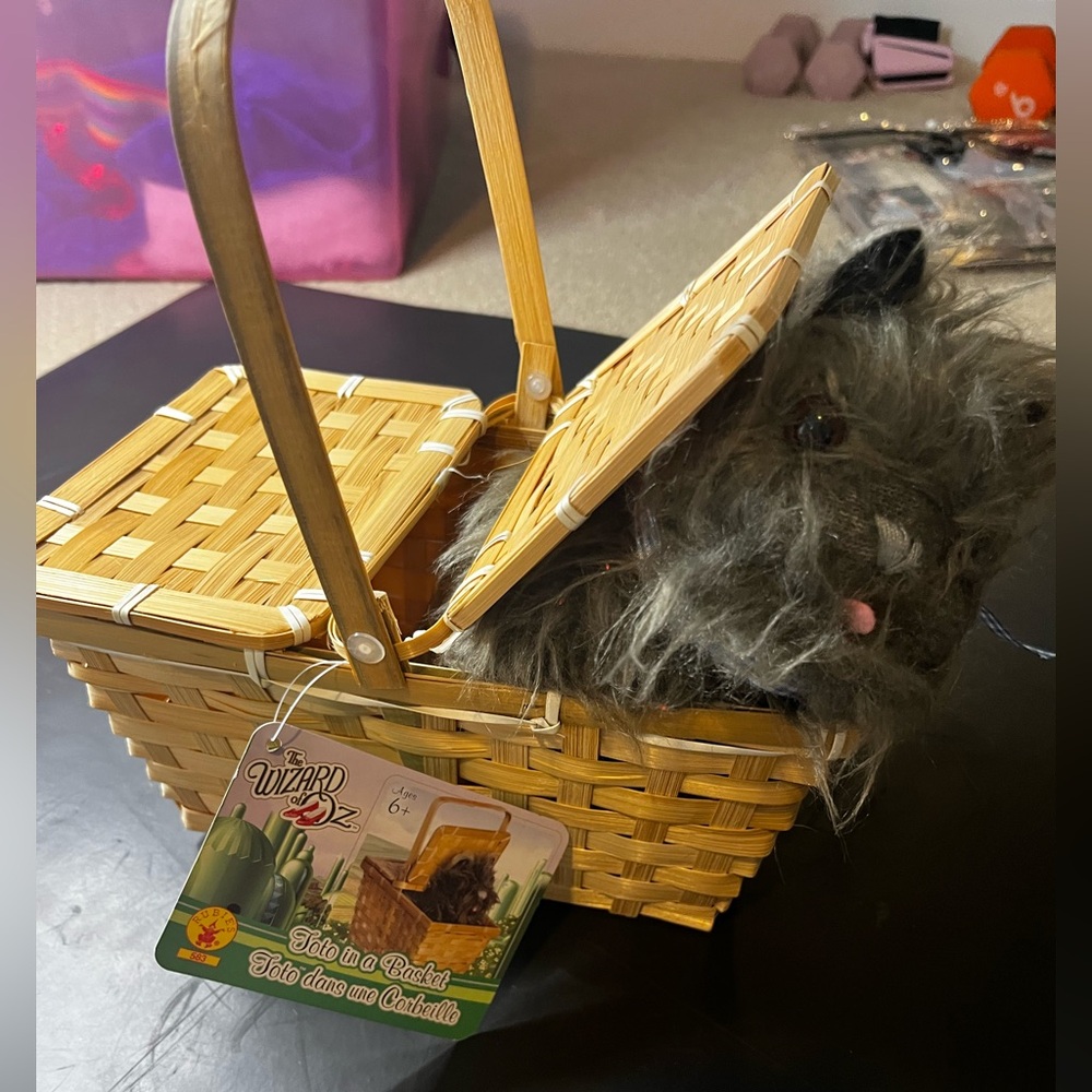 Toto in a basket from Wizard of Oz